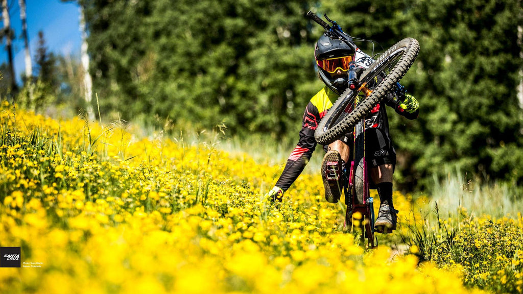 online mtb bike shop