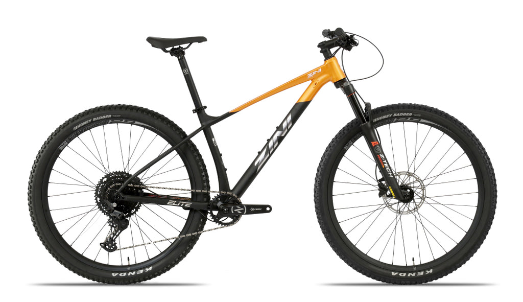 Zini 2025 Z29 Elite-29er Bicycles-Online Bicycle Shop