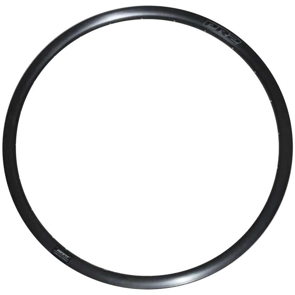 Giant Rim TCR P-R2 Disc 700x28H-Rims-Online Bicycle Shop