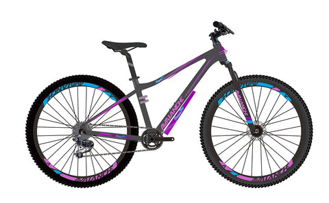 Avalanche Prima Pro 29er