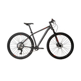 Avalanche Reflex Pro 29er