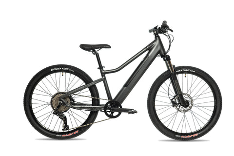 Avalanche Luna-E Electric Bike