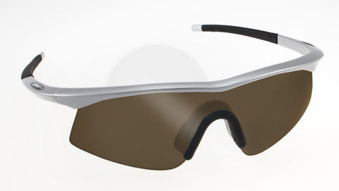 Darcs Meridian 2 Comp Sunglasses